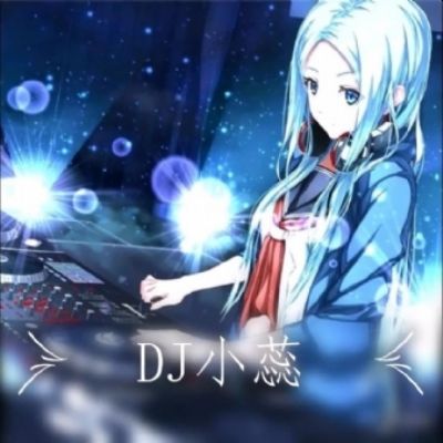 DJ小蕊-电子琴DJ舞曲（点歌人把酒倒满） 